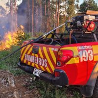 Incêndio em área de reflorestamento mobiliza bombeiros