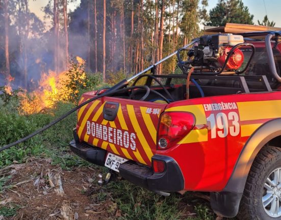 Incêndio em área de reflorestamento mobiliza bombeiros