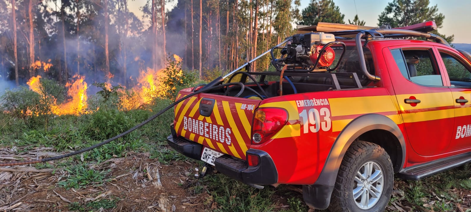 Incêndio em área de reflorestamento mobiliza bombeiros