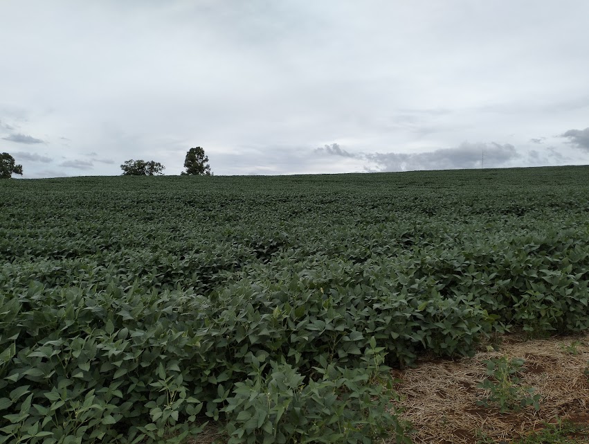 São Domingos promove palestra gratuita para agricultores