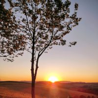 Defesa Civil alerta para onda de calor no Oeste