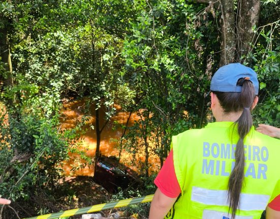 Veículo sai da pista e quase cai em rio em São Domingos