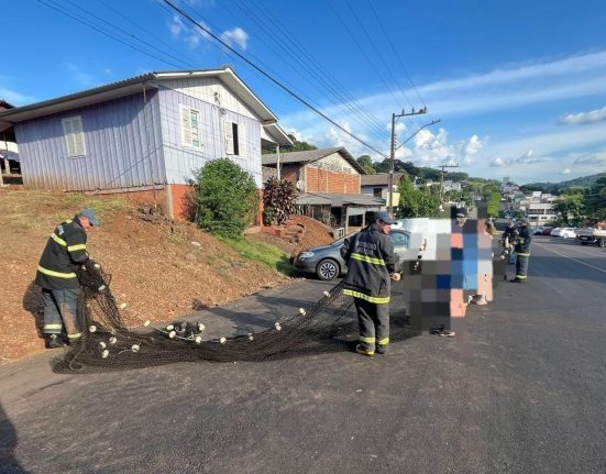 Fotos Corpo de Bombeiros