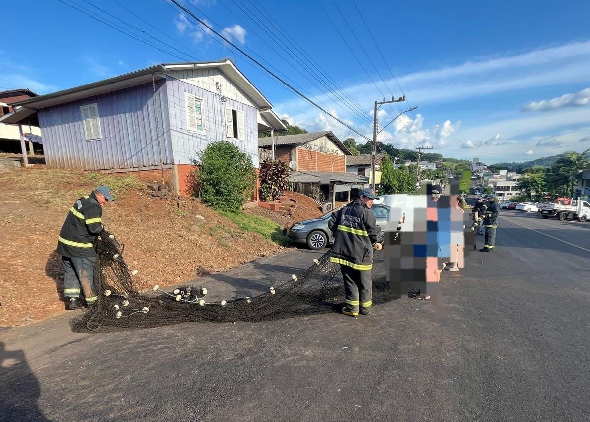 Fotos Corpo de Bombeiros